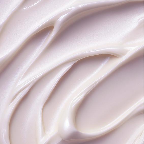 The Perfect Maintenance 