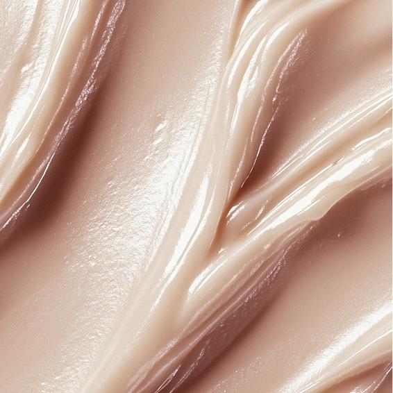 The Basic Maintenance  